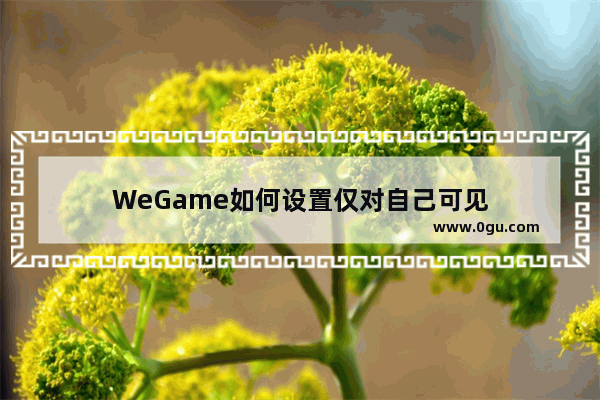 WeGame如何设置仅对自己可见