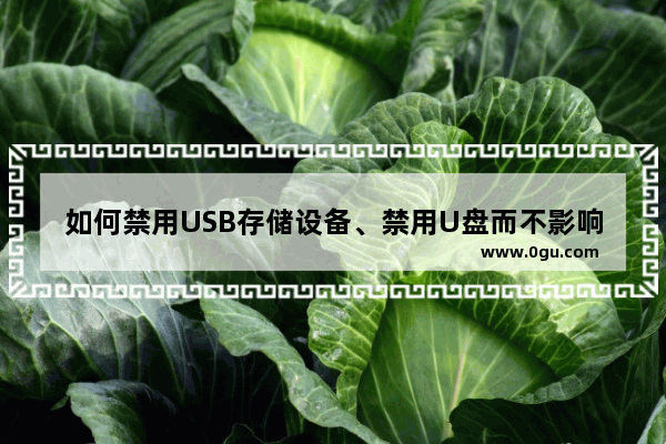 如何禁用USB存储设备、禁用U盘而不影响USB鼠标键盘、网银U盾、加密狗的使用注意事项