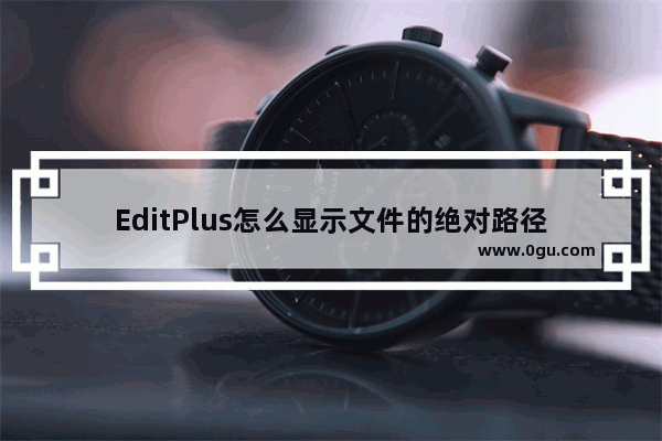 EditPlus怎么显示文件的绝对路径