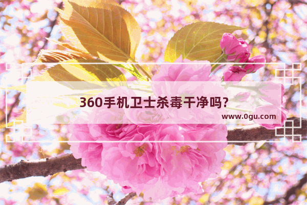 360手机卫士杀毒干净吗?