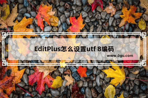 EditPlus怎么设置utf 8编码