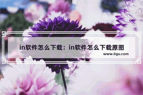 in软件怎么下载：in软件怎么下载原图