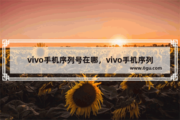 vivo手机序列号在哪，vivo手机序列号在哪看