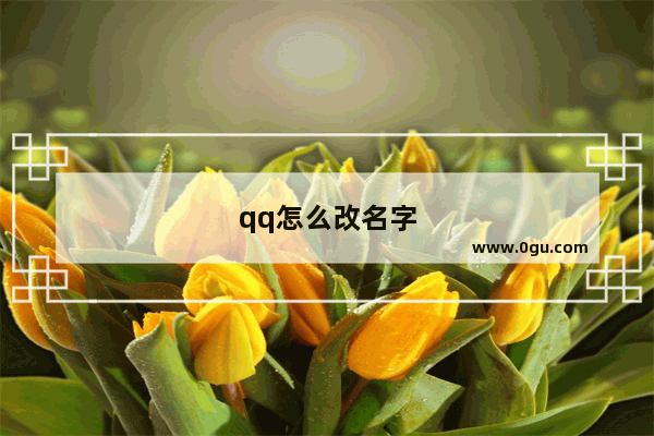 qq怎么改名字