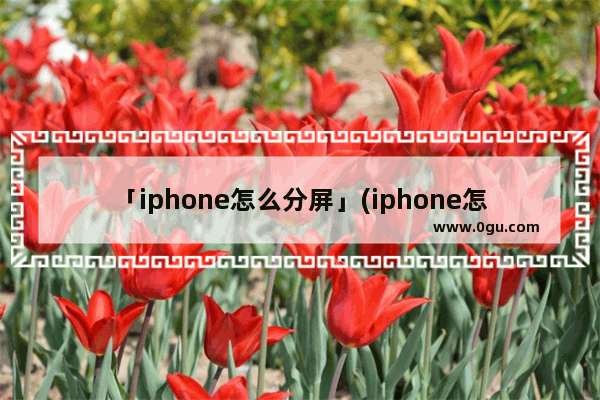 「iphone怎么分屏」(iphone怎么分屏用两个程序)