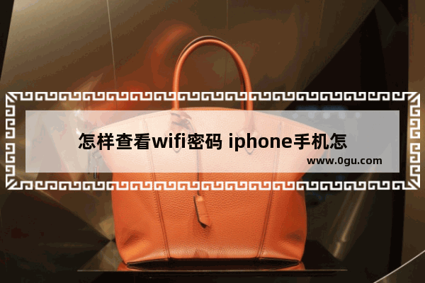 怎样查看wifi密码 iphone手机怎样查看wifi密码