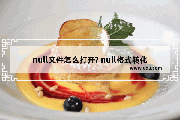 null文件怎么打开? null格式转化为rar格式打开的方法