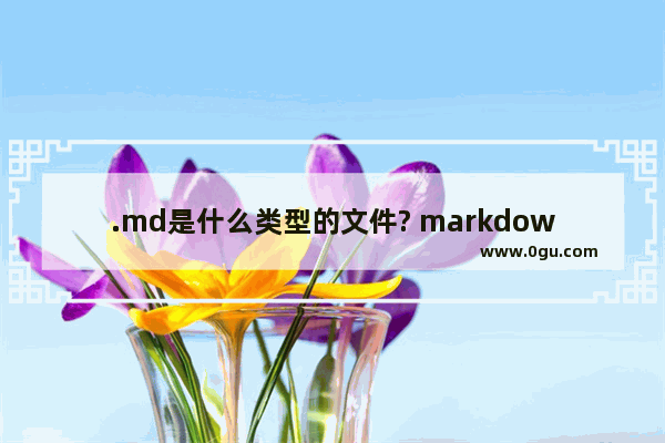 .md是什么类型的文件? markdown.md的打开方式