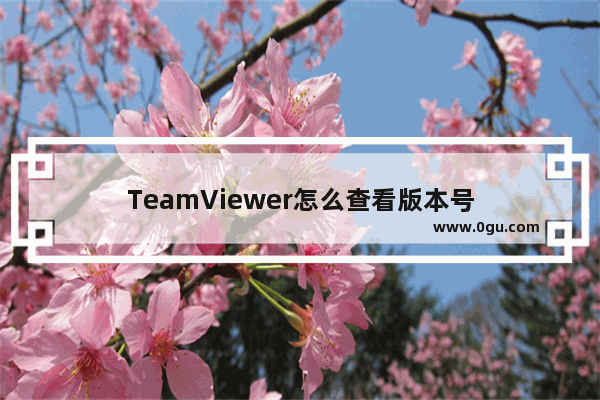 TeamViewer怎么查看版本号