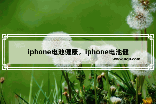 iphone电池健康，iphone电池健康79还能用多久