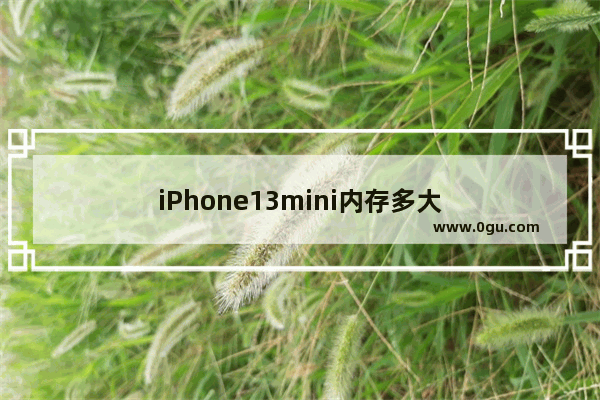 iPhone13mini内存多大