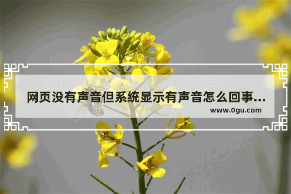 网页没有声音但系统显示有声音怎么回事?如何解决?