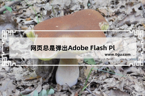 网页总是弹出Adobe Flash Player弹窗报错怎么办？