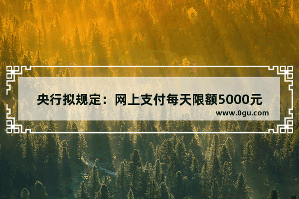 央行拟规定：网上支付每天限额5000元