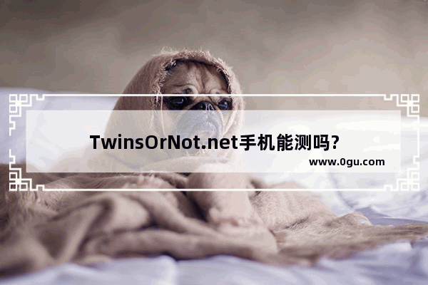 TwinsOrNot.net手机能测吗?TwinsOrNot手机上怎么用?