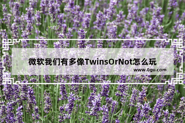 微软我们有多像TwinsOrNot怎么玩?TwinsOrNot.net使用教程