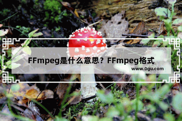 FFmpeg是什么意思？FFmpeg格式有什么作用和功能？