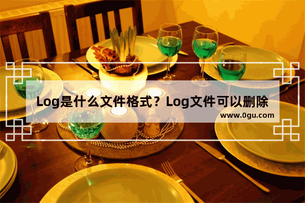 Log是什么文件格式？Log文件可以删除吗？