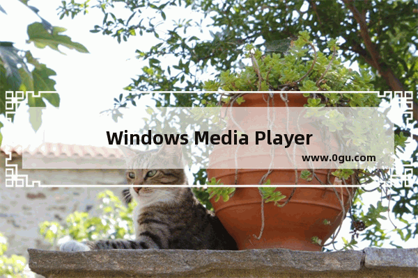 Windows Media Player网络共享服务怎么关闭？