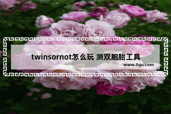 twinsornot怎么玩 测双胞胎工具twinsornot使用方法