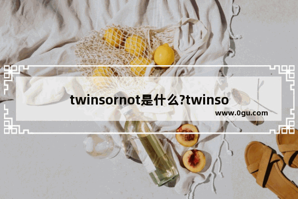 twinsornot是什么?twinsornot使用详细图文教程