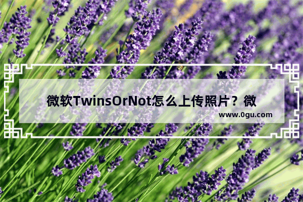 微软TwinsOrNot怎么上传照片？微软测双胞胎工具上传照片教程