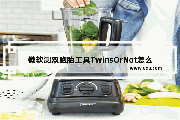 微软测双胞胎工具TwinsOrNot怎么用？微软测双胞胎怎么玩？