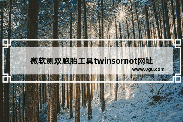 微软测双胞胎工具twinsornot网址 twinsornot网站怎么对比照片