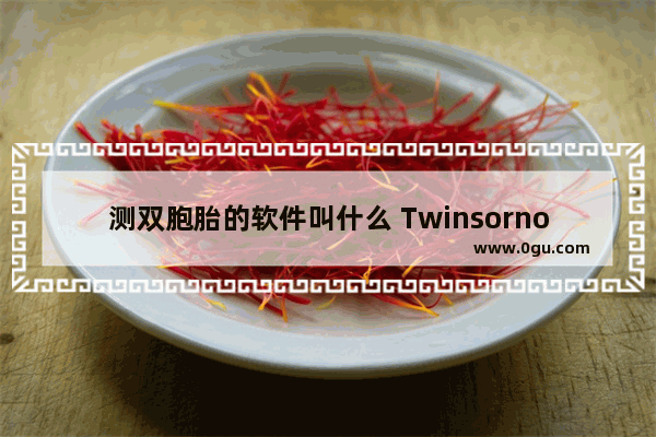 测双胞胎的软件叫什么 Twinsornot.net网址