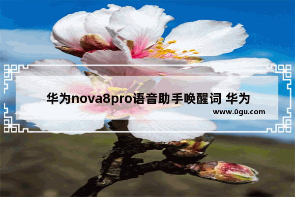 华为nova8pro语音助手唤醒词 华为nova8pro语音助手唤醒词怎么更改