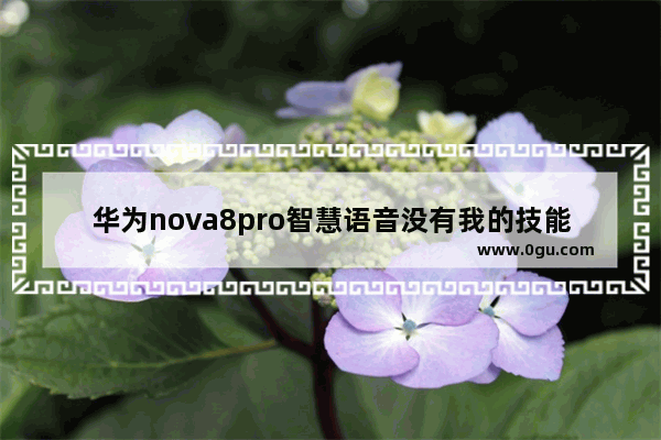 华为nova8pro智慧语音没有我的技能吗