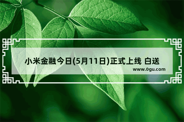 小米金融今日(5月11日)正式上线 白送10000元体验金　附官方地址