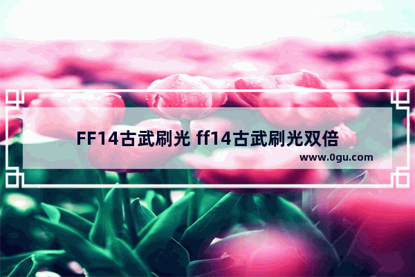 FF14古武刷光 ff14古武刷光双倍