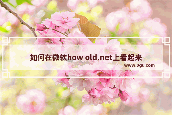 如何在微软how old.net上看起来很年轻?永远18岁?