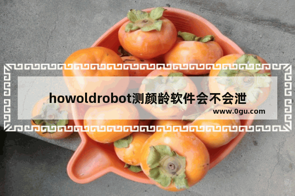 howoldrobot测颜龄软件会不会泄漏我们的隐私?