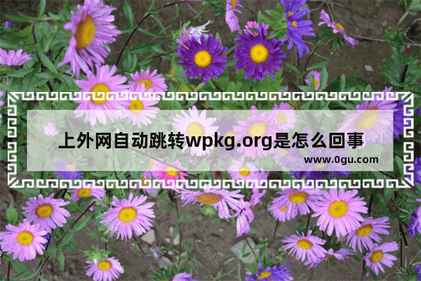 上外网自动跳转wpkg.org是怎么回事？怎么解决？