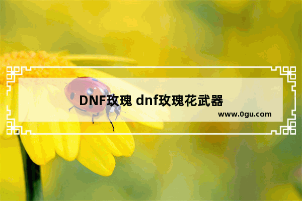 DNF玫瑰 dnf玫瑰花武器