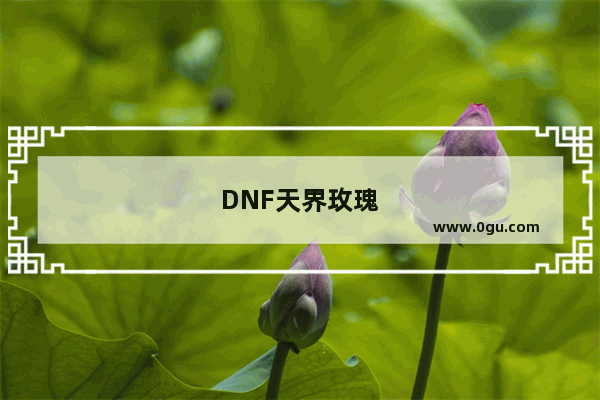 DNF天界玫瑰