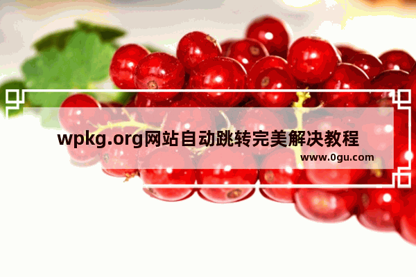 wpkg.org网站自动跳转完美解决教程及原因分析