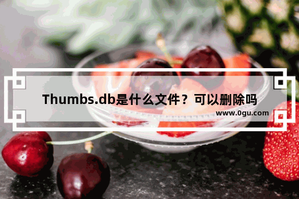 Thumbs.db是什么文件？可以删除吗？