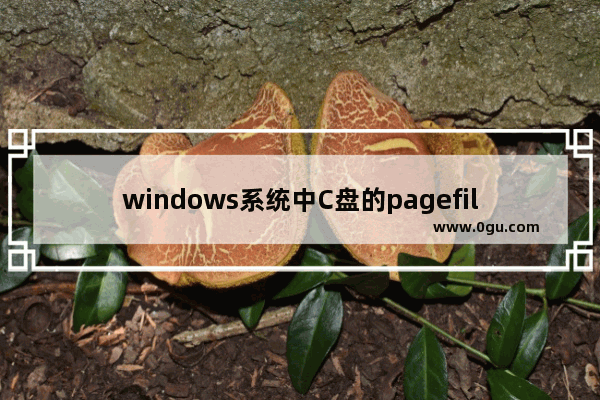 windows系统中C盘的pagefile.sys是什么文件