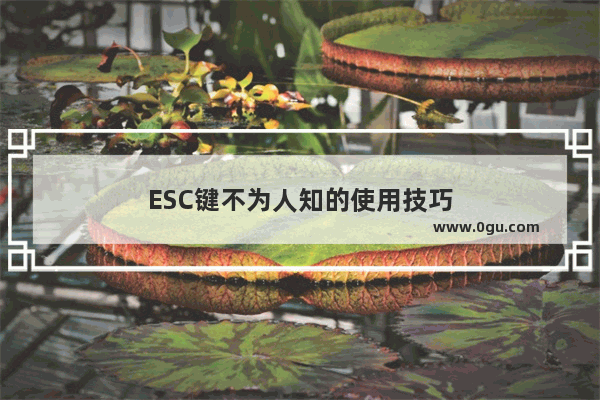 ESC键不为人知的使用技巧