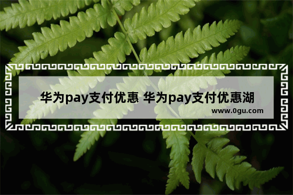 华为pay支付优惠 华为pay支付优惠湖北高校