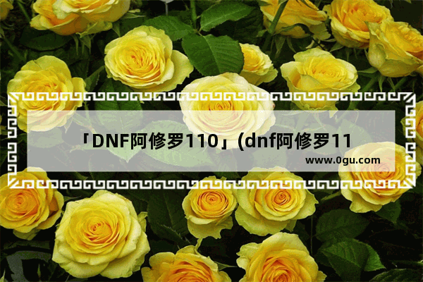 「DNF阿修罗110」(dnf阿修罗110版本职业)