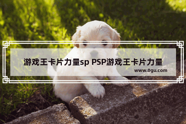 游戏王卡片力量sp PSP游戏王卡片力量sp