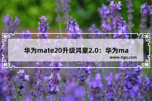 华为mate20升级鸿蒙2.0：华为mate20升级鸿蒙2.0.0.怎么样