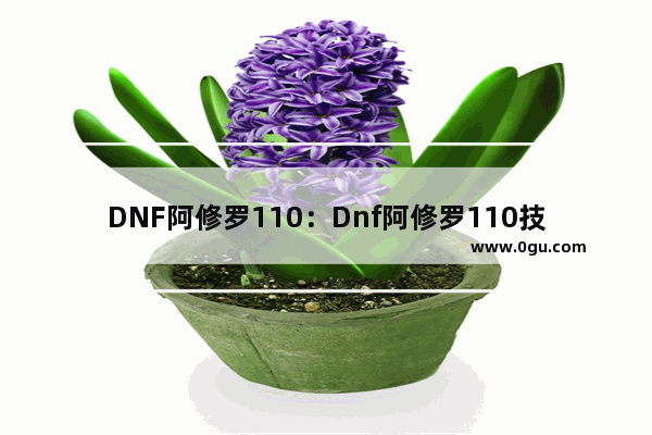 DNF阿修罗110：Dnf阿修罗110技能加点