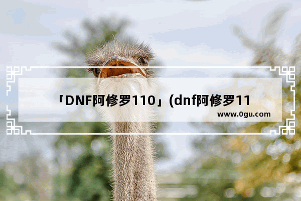 「DNF阿修罗110」(dnf阿修罗110级装备最强搭配图)