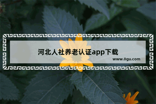 河北人社养老认证app下载