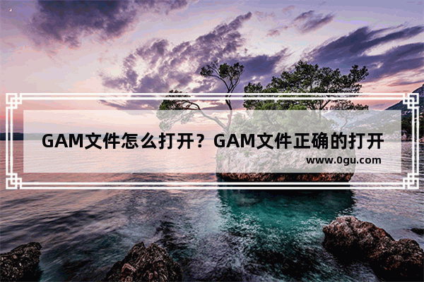 GAM文件怎么打开？GAM文件正确的打开方式